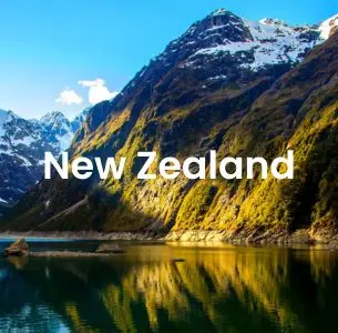 study in new zealand for indian students